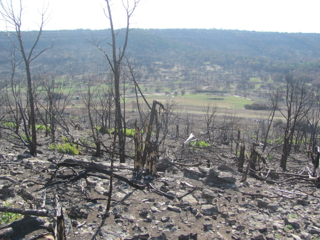 Green Ranch Project - Post Fire