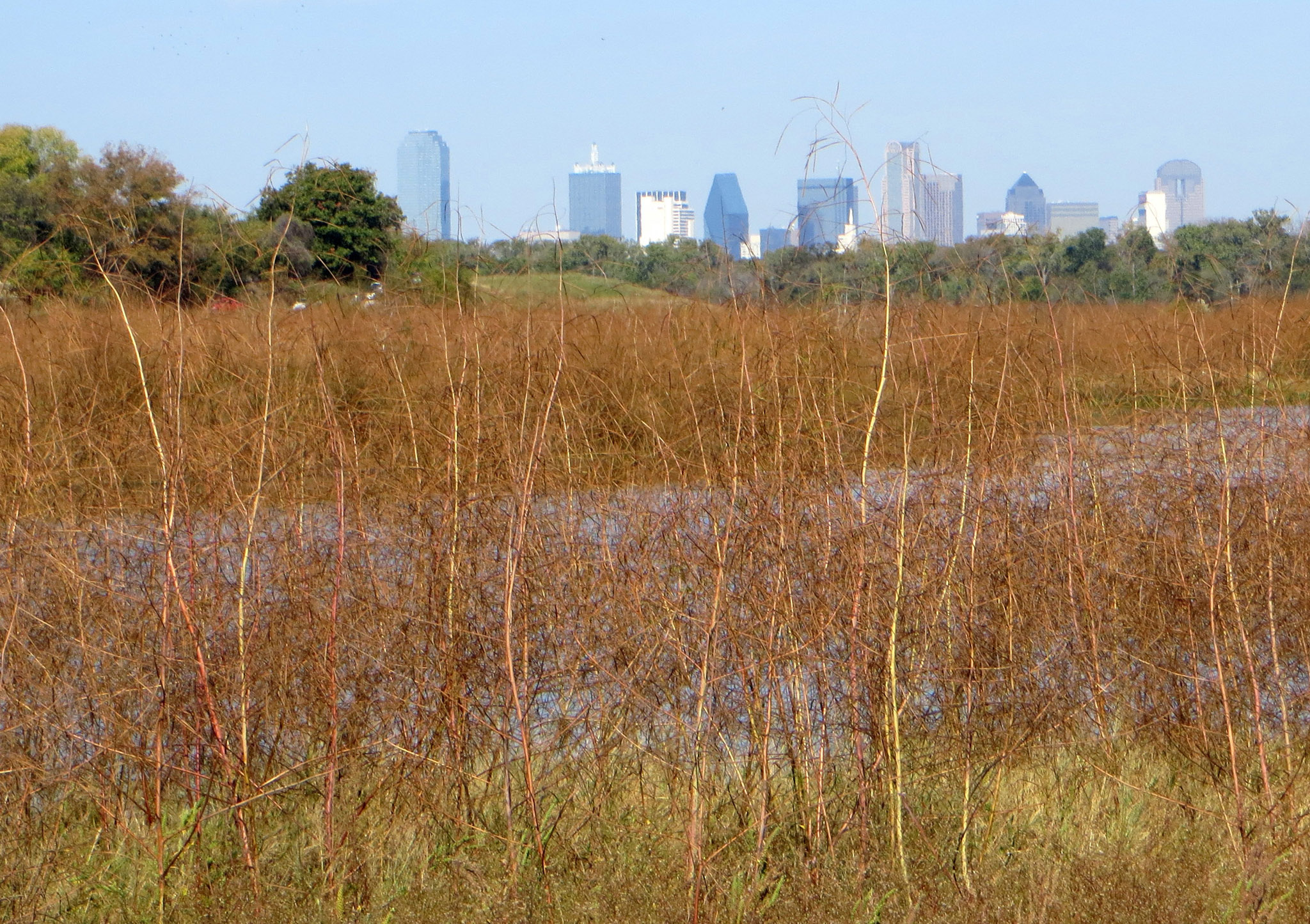 East Fork Reuse Wetland Nursery Created Natural Wildlife Habitat & Improved Water Quality