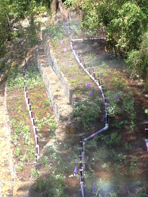 Commercial Irrigation - Dallas Zoo - Green Scaping